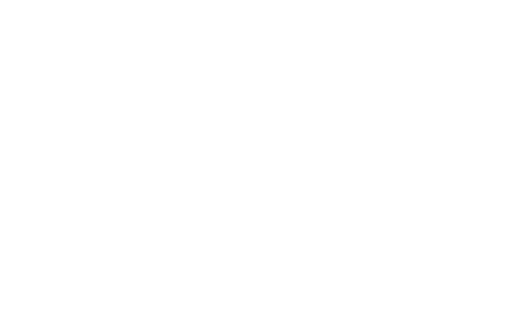logotipo skydive puebla